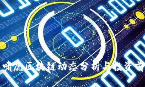 朱啸虎区块链动态分析与投资前景