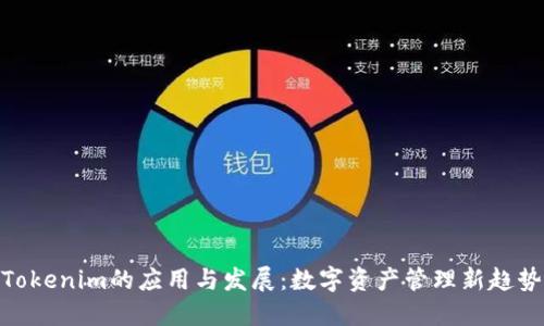 Tokenim的应用与发展:数字资产管理新趋势